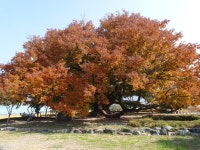 경기꿈의학교, 벨기에 학습공원과 만나다!
