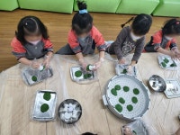 창현유치원, 봄 향기 가득한 “쑥 듬뿍, 사랑 가득 쑥개떡 만들어요”요리 활동