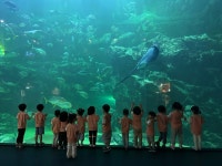 파주 동패유치원, 1학기 현장체험학습 실시