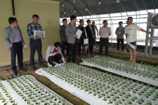 지역특화작목 프리미엄 컨설팅으로 수출 경쟁력 강화