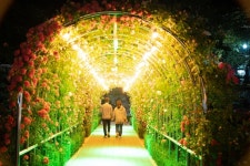 강원특별자치도 안전한국훈련 담당공무원 연찬회 개최