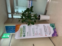 파주시, 만 51세 이상~70세 이하 여성농업인 특수건강검진 지원