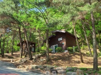 황금 추석연휴, 휴식의 명소 경북 자연휴양림 최고 인기!