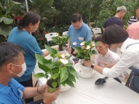 농업으로 마음을 치유한다... 치유농업을 아시나요?