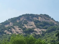 종로구 ‘북악산’·‘인왕산’, 100대 명품숲 선정
