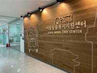 가장 따뜻한 겨울, 서울시 유기동물 만남의 날 가족을 찾아보세요