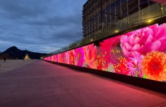 광화문광장 해치마당, 빛 담은 꽃길 펼쳐진다…′개화′ 주제 미디어아트