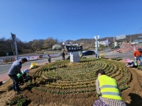 화도면, 봄맞이 꽃단장…봄꽃 식재 및 환경정비에 앞장