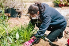 서울식물원, 정원 식재 디자인 전문가 양성과정 참여자 모집