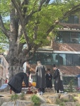 용인특례시 기흥구, 관곡마을 느티나무 전통 고사제