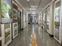 광주 사직도서관, 24일까지 ‘한국화 족자전’