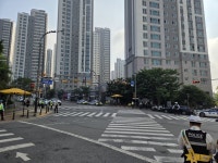 와석초등학교, ‘2026학년도 등굣길 어린이 교통안전 캠페인’ 개최
