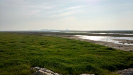 주말에 바람쐬러 갔다가 찍은 안구정화용 사진 몇 장 | 투데이스피피시 주말에 바람쐬러 갔다가 찍은 안구정화용 사진 몇 장 | 투데이스피시