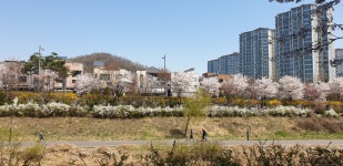 [뉴모바일!]투데이스피피시