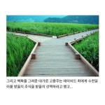 주식으로 대박난 한국 혼열인.. | 투데이스피피시 주식으로 대박난 한국 혼열인.. | 투데이스피시