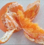 [광고] 레드향 향기가 집안에 가득 | 투데이스피피시 [광고] 레드향 향기가 집안에 가득 | 투데이스피시