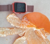 [광고] 레드향 향기가 집안에 가득 | 투데이스피피시 [광고] 레드향 향기가 집안에 가득 | 투데이스피시