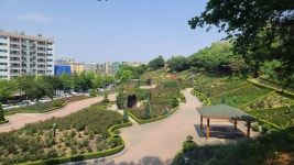 부천 도당동 장미공원 근황 | 투데이스피피시 부천 도당동 장미공원 근황 | 투데이스피시