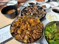 팰리의 먹데이스~ 대구 단골식당 | 투데이스피피시 팰리의 먹데이스~ 대구 단골식당 | 투데이스피시