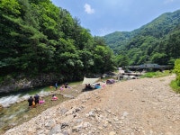 7월 2일 가평 용추계곡 상황 | 투데이스피피시 7월 2일 가평 용추계곡 상황 | 투데이스피시