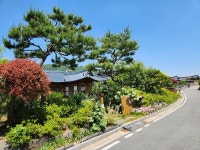 다도해해상국립공원 구계등 야영장 | 투데이스피피시 다도해해상국립공원 구계등 야영장 | 투데이스피시