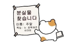 [뉴모바일!]투데이스피피시
