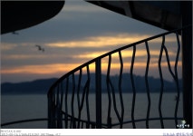 바디가 늘어간다~~ | 투데이스피피시 바디가 늘어간다~~ | 투데이스피시