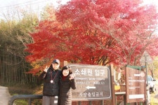 부산여행사 부산테마여행사