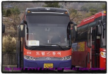 부산테마여행사
