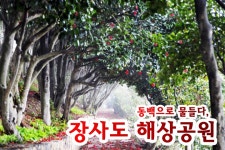 부산여행사 부산테마여행사