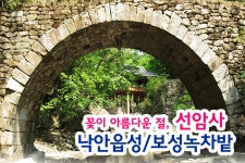 부산여행사 부산테마여행사