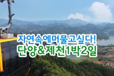 부산테마여행사