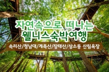 부산테마여행사