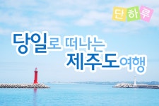 부산테마여행사