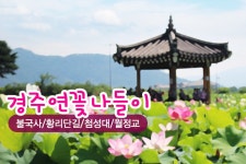 부산테마여행사
