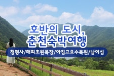 부산테마여행사