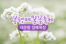 부산테마여행사