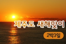 부산테마여행사