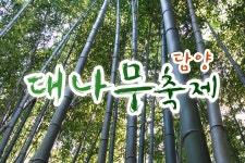 부산테마여행사