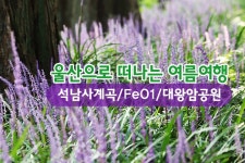 부산테마여행사