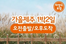 부산테마여행사