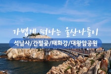 부산테마여행사