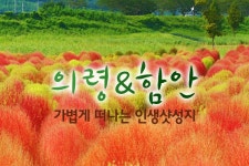 부산테마여행사