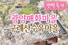 부산테마여행사