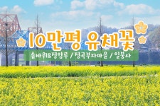 부산테마여행사