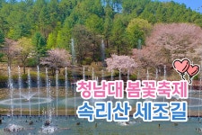 부산테마여행사