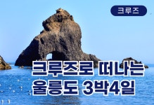 부산테마여행사