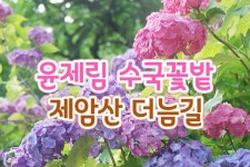 공원로52번길4연탄불고기정식 | 부산테마여행사