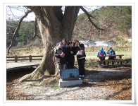부산테마여행사
