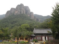 부산테마여행사